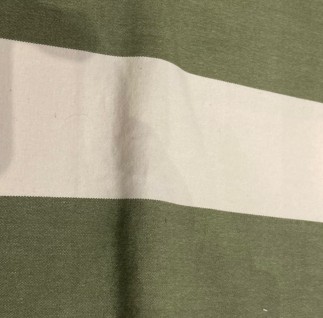 Salcombe Stripe Green