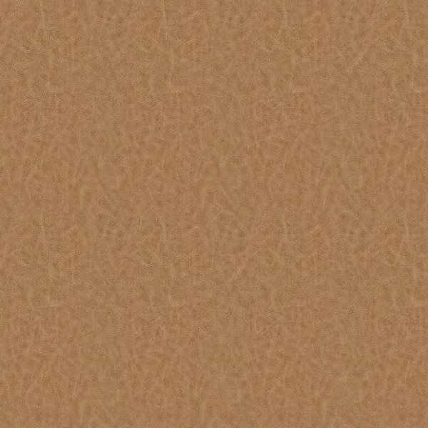 Atacama Nutmeg